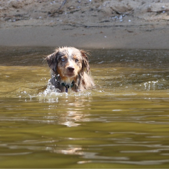 I’m Corinne! Thanks for stopping by to get to know me 😁 - Picture 9 of 14